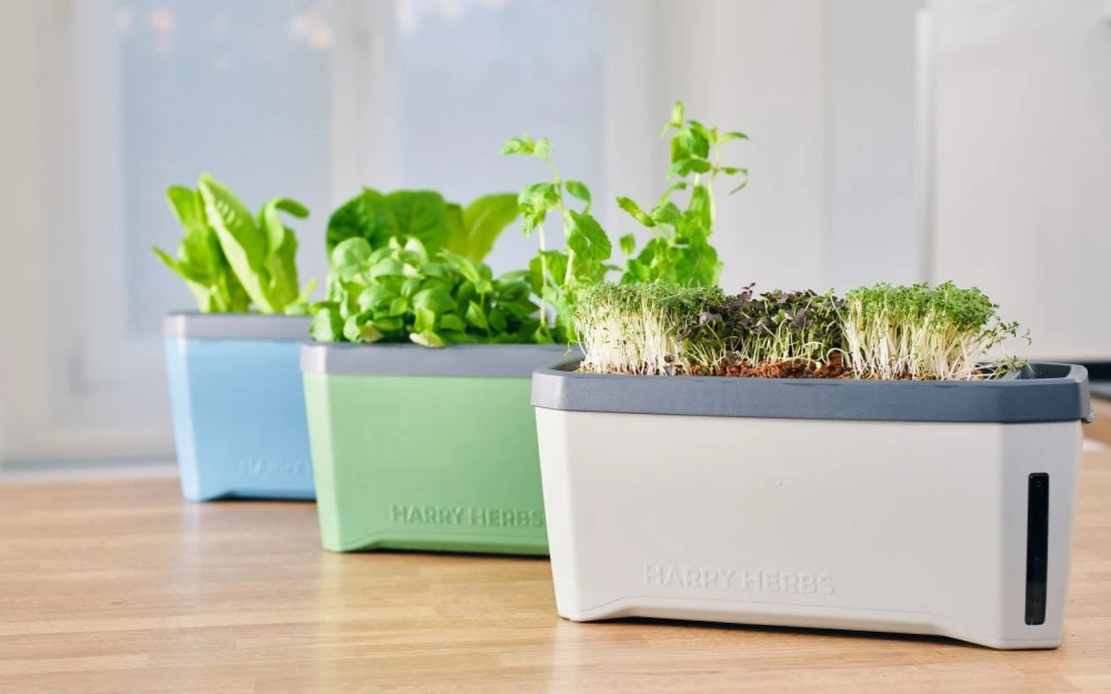 Samozavlažovací truhlík Harry Herbs 4v1